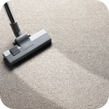 Carpet Care | McKinney Hardwood Flooring
